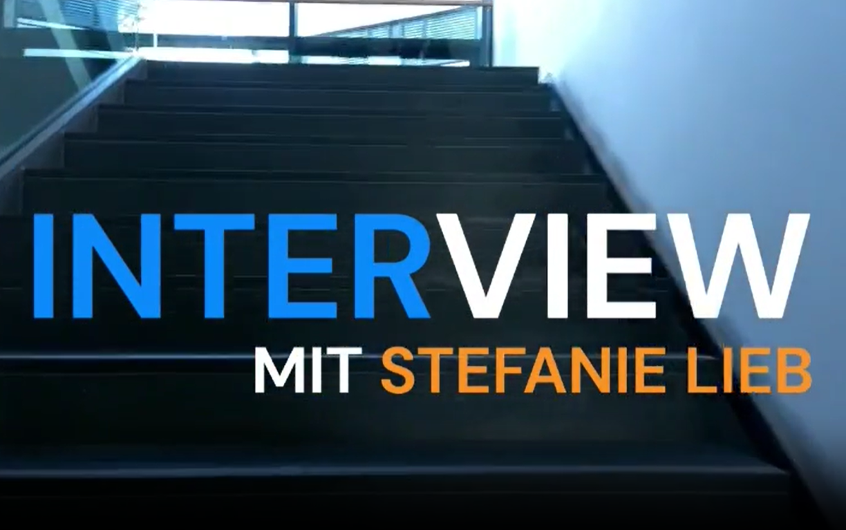Interview zwischen der Gesundheitscoachin Frau Lieb und dem Teilnehmenden Herrn E. (39 Jahre)